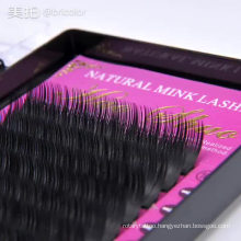 Good quality blossom eyelashes Eyelash extensions